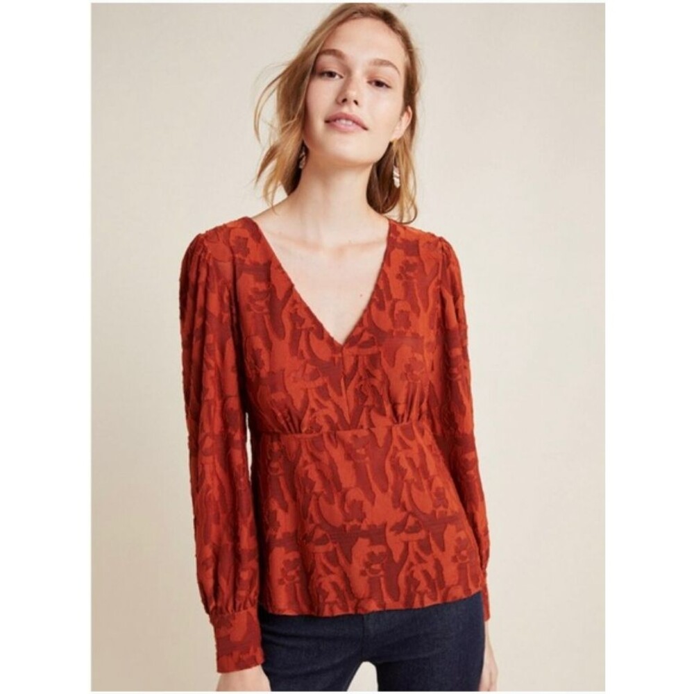 Eva Franco Anthropologie Burnout Velvet Top sz XS Puff Sleeve Sheer Rust Orange - Picture 1 of 16